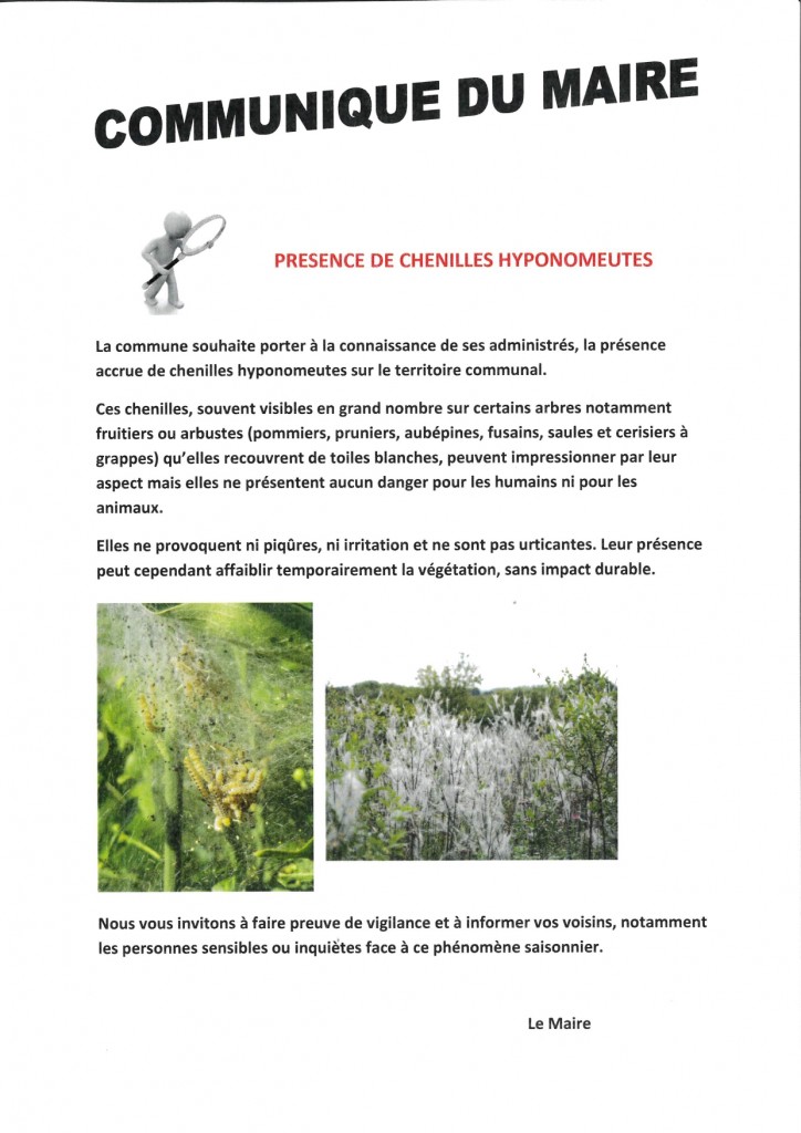communique-du-maire-chenilles-hyponomeutes